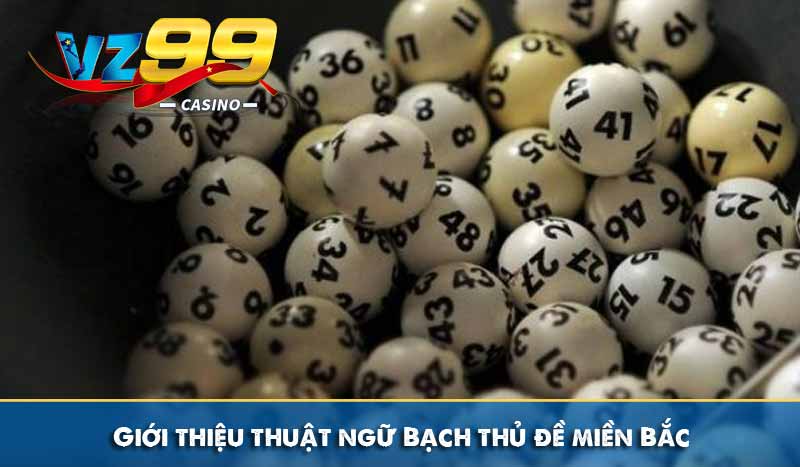 Bạch thủ đề miền bắc là gì? Cách bắt bạch thủ đề chuẩn xác 5 Giới thiệu thuật ngữ Bạch thủ đề miền Bắc